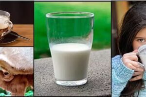 Laboratorio de Diag Vet Villa Maria Labvima SH