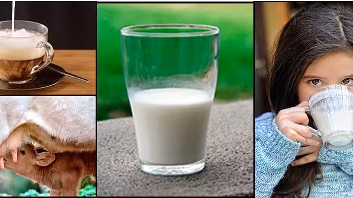 Laboratorio de Diag Vet Villa Maria Labvima SH