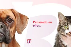 Laboratorios BechLab