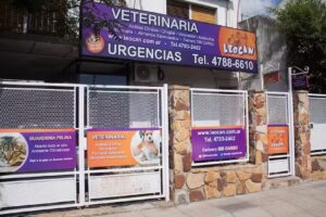 Leocan Veterinaria Nu&ntilde;ez