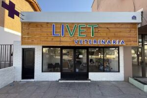Livet Clinica Veterinaria