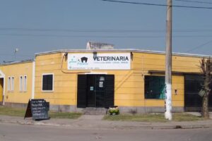 Lola Polola Pension Canina y Veterinaria