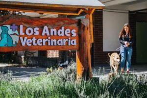 Los Andes Veterinaria