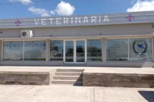 Los Bellacos Veterinaria