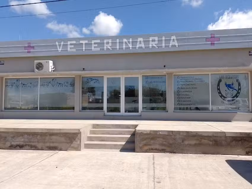 Los Bellacos Veterinaria