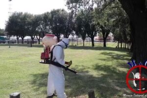 M&G &ndash; Veterinaria Velez