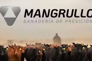 Mangrullo &ndash; Veterinaria