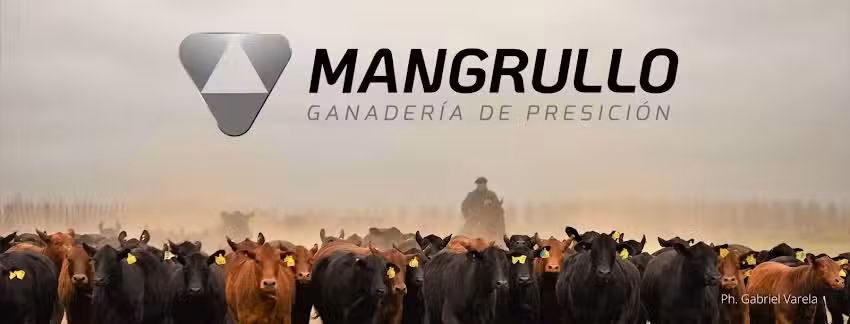 Mangrullo &ndash; Veterinaria