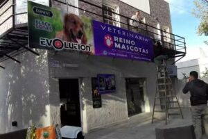 MANTENIMIENTO DE PILETAS