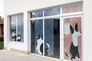 Marvet Medicina Veterinaria