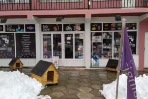 Mascotas consentidas