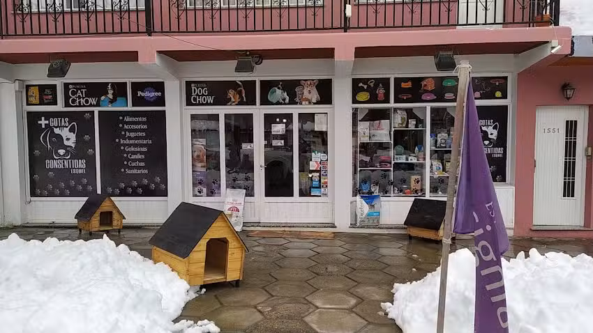 Mascotas consentidas