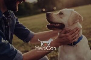 MediCan Asistencia Veterinaria