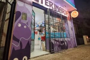 Medicina Felina Paraná