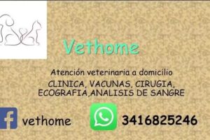 Medico veterinario a domicilio