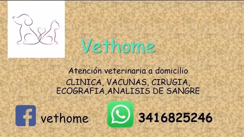 Medico veterinario a domicilio