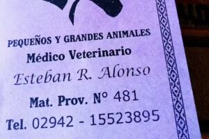 Medico Veterinario Esteban Alonso