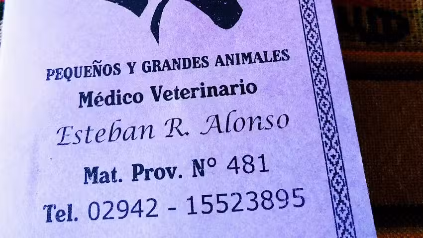 Medico Veterinario Esteban Alonso