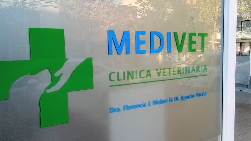 MEDIVET Cl&iacute;nica Veterinaria