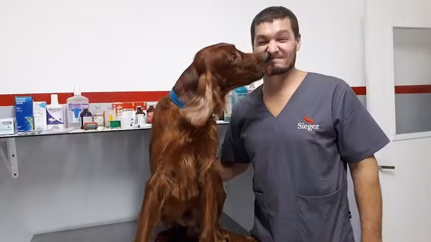 MENDIVET CLINICA VETERINARIA