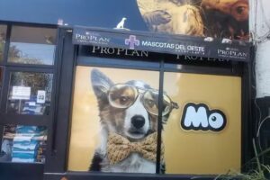 MO Pet Shopping &ndash; Sucursal Alberdi