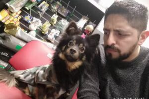 MO Pet Shopping – Sucursal Echesortu