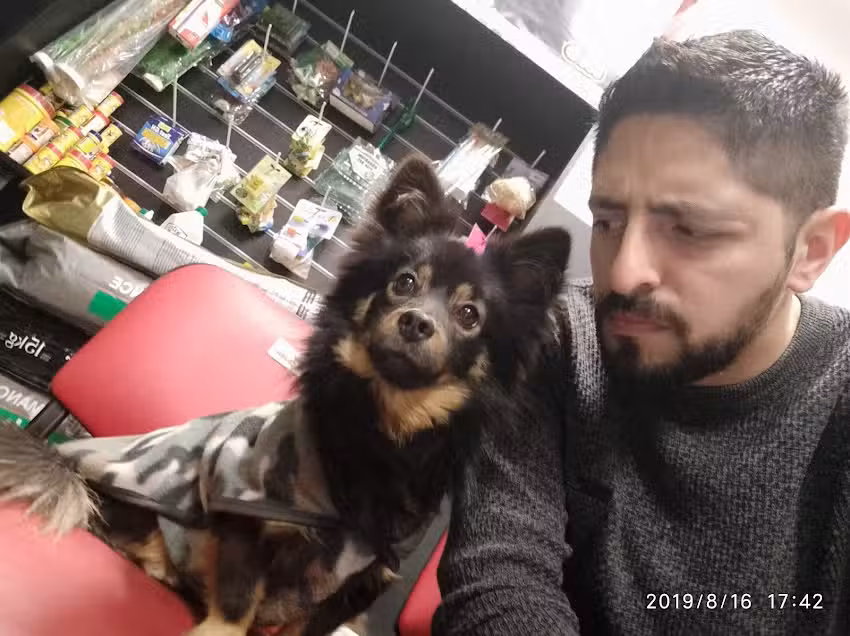 MO Pet Shopping &ndash; Sucursal Echesortu