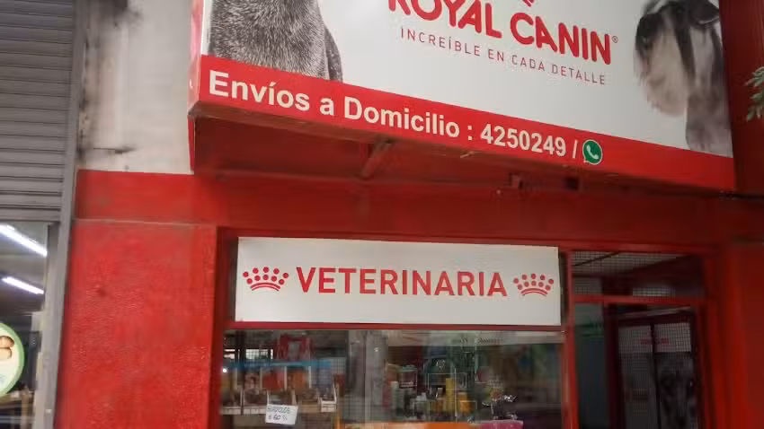 Mundo Animal