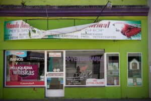 Mundo Animal – Pet’s Shop