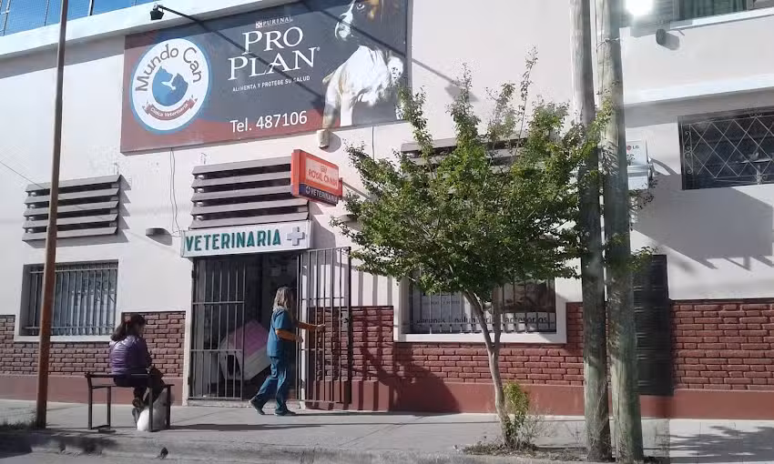 Mundo Can Cl&iacute;nica Veterinaria