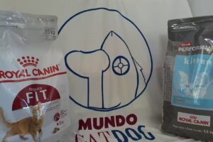 Mundo cat dog