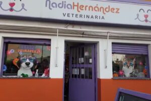 Nadia Hern&aacute;ndez Medicina Felina (veterinaria especializada en felinos)