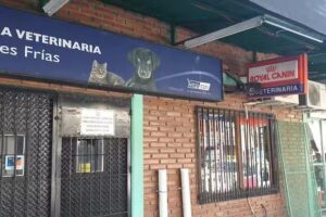 Narices Frias Veterinaria