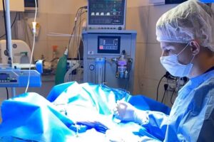 ODONTOLOGÍA VETERINARIA CÓRDOBA SAB