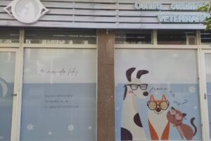 Oftalmología Veterinaria COV Bahía Blanca