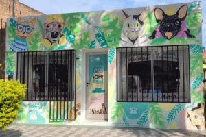 Oh! My Pet – Vet&Shop