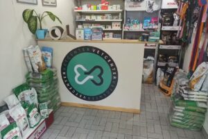 OnKin – Oncología Veterinaria