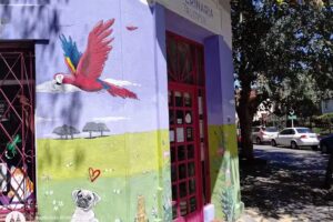 Peluquer&iacute;a Canina Dr Trumpet