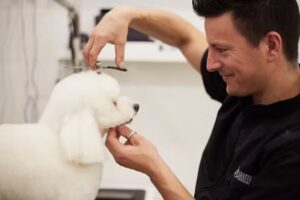 Pet House Styling Salon