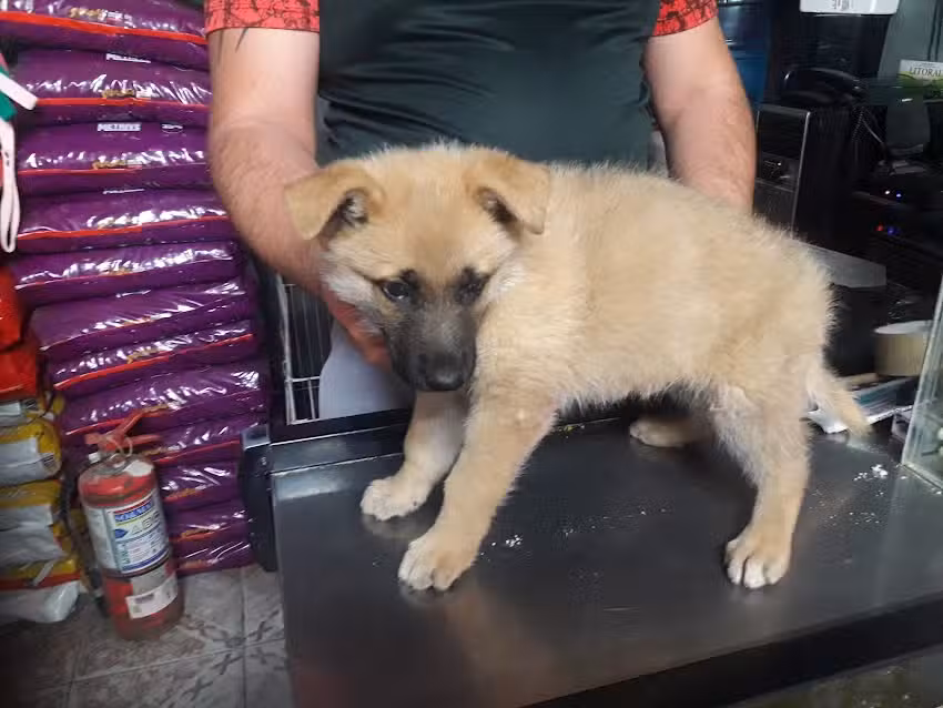 Pet Shop &ldquo;San Fernando &ldquo;