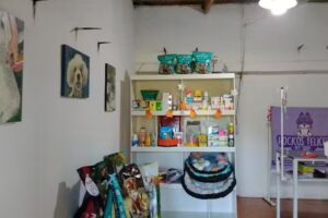 Petshop Hocicos Felices