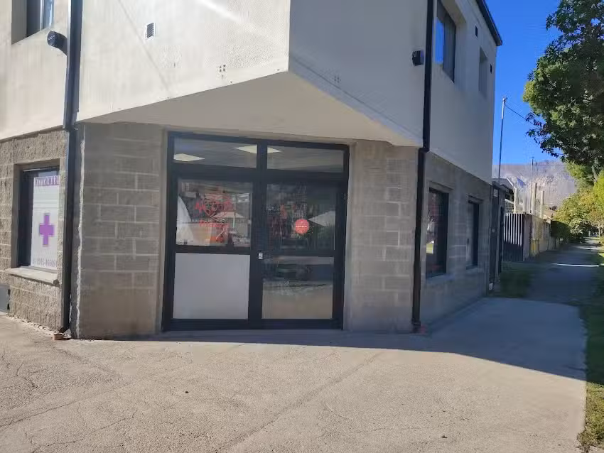 Piazza Cl&iacute;nica Veterinaria