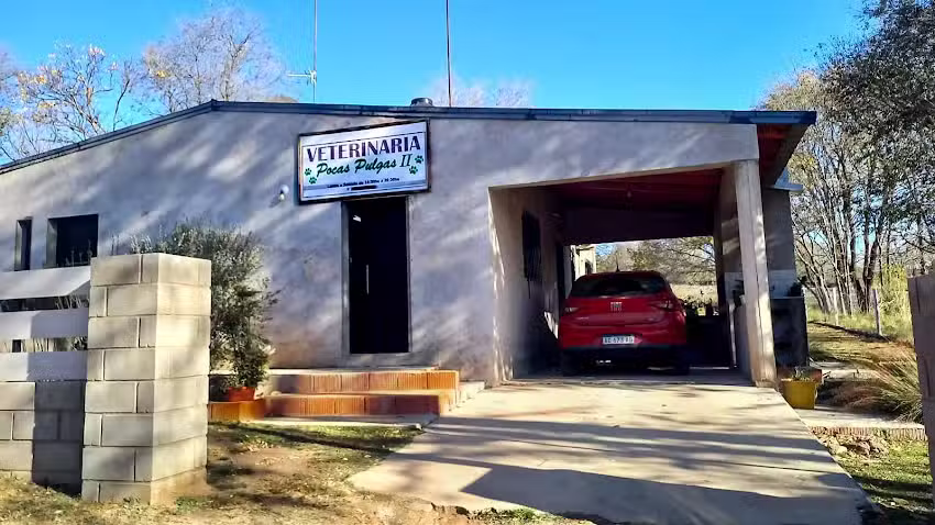Pocas Pulgas 2
