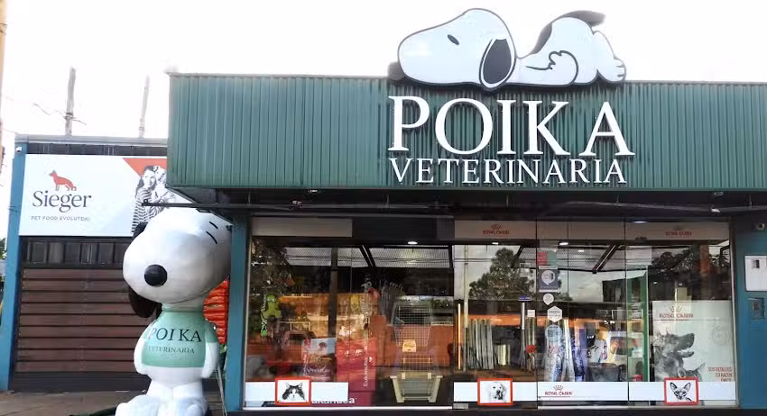 Poika Veterinaria