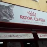 Profesional Farmacia Veterinaria