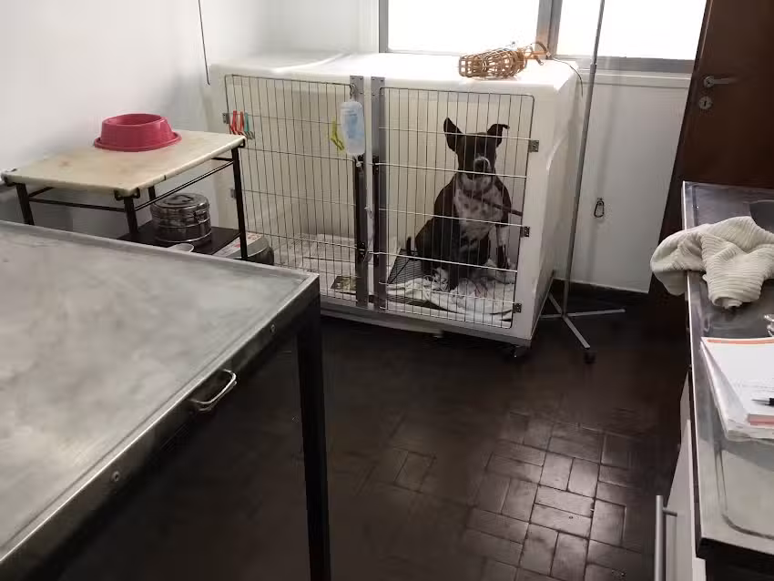 PUENTEVET Veterinaria