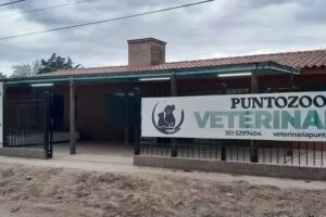 Punto Zoo Veterinaria