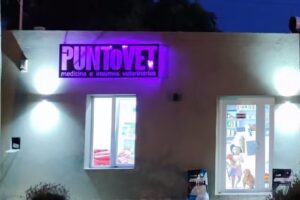 PuntoVet
