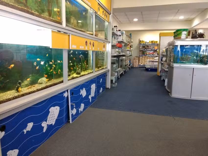 Puppis Veterinaria, Peluqueria y Pet Shop