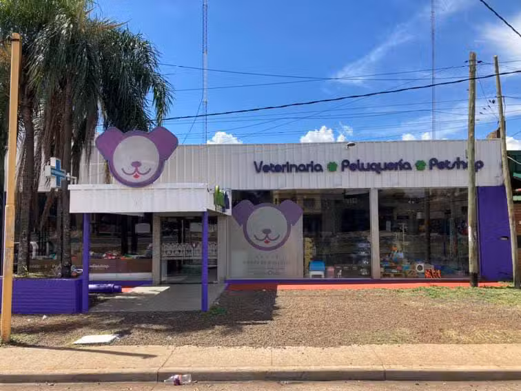 Quinta Pata &ndash; Local 3 (Quaranta)